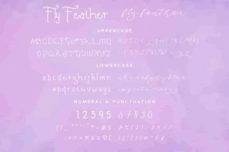 Fly Feather Font Family Duo