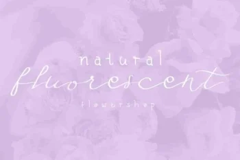 Fly Feather Font Family Duo