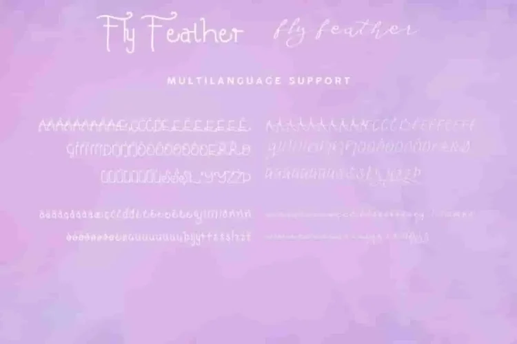 Fly Feather Font Family Duo