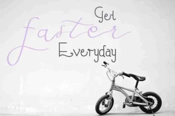 Fly Feather Font Family Duo