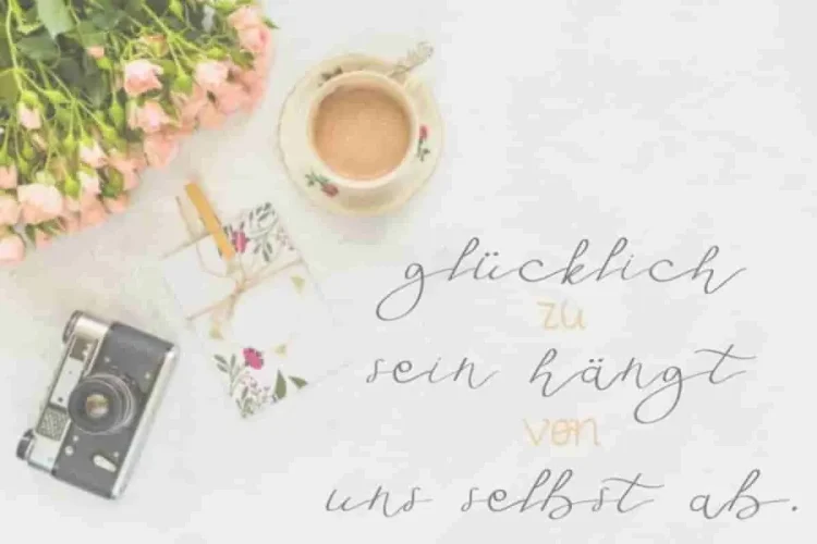 Fly Feather Font Family Duo
