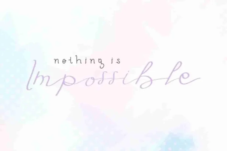 Fly Feather Font Family Duo