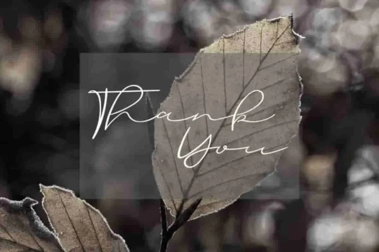 Hatching love Handwritting Font