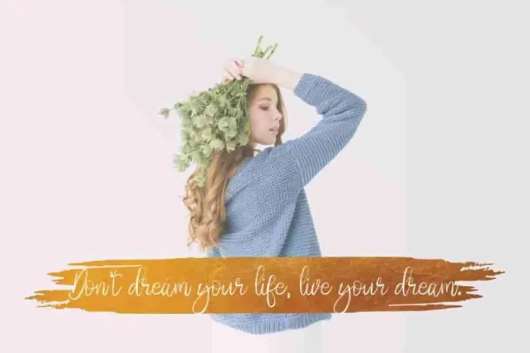 Holla hearth Brush Script Font