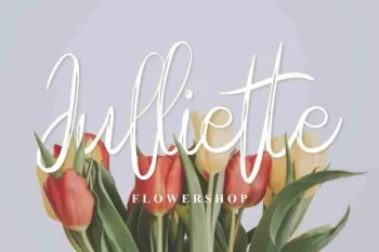 Holla hearth Brush Script Font