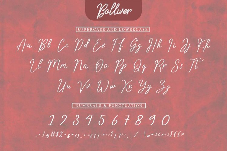 Bolliver Handwriting Font - Image 3