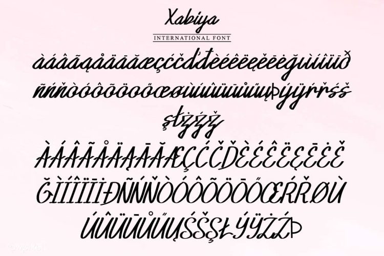 Xabiya Marker Handwritting Font - Image 10