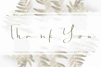 Jonatan Eve Signature Script Font