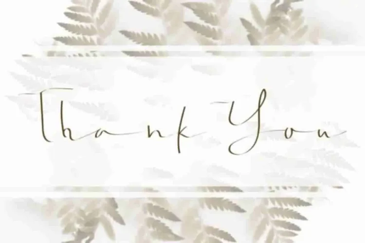 Jonatan Eve Signature Script Font