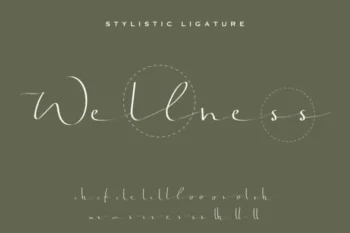Jonatan Eve Signature Script Font