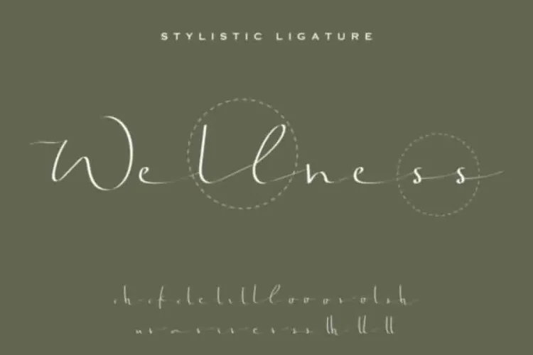 Jonatan Eve Signature Script Font