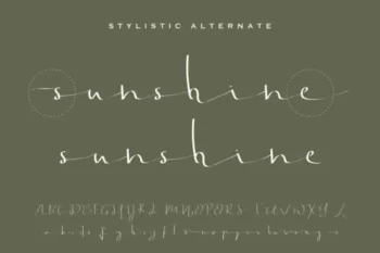 Jonatan Eve Signature Script Font