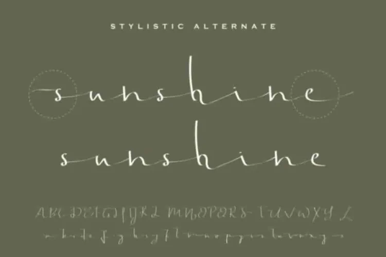 Jonatan Eve Signature Script Font