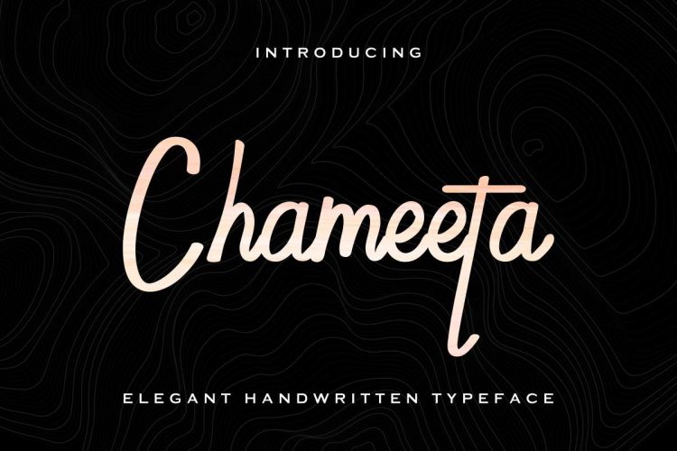 Chameeta Handwritting Font