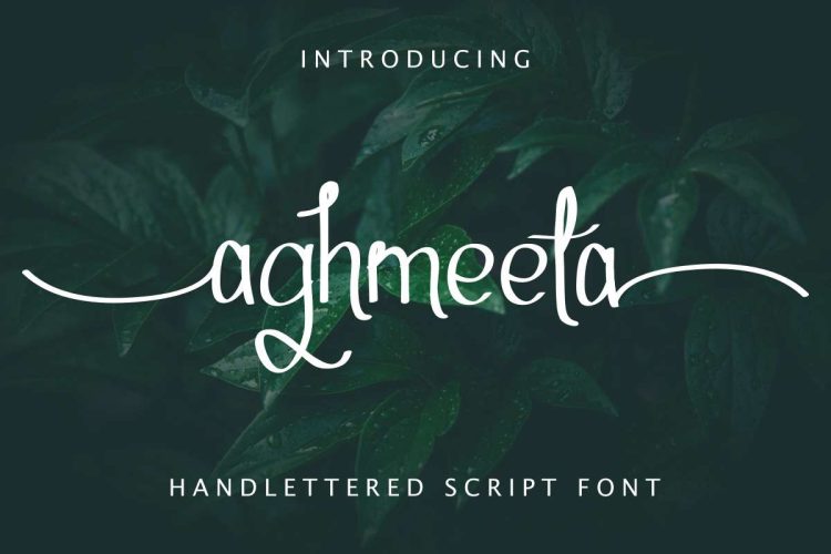 Aghmeeta Handwritten  Font - Image 11