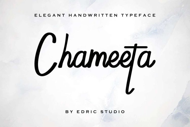 Chameeta Handwritting Font - Image 12