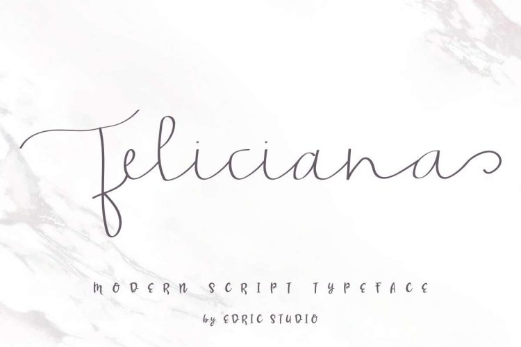 Feliciana Handwritten Font - Image 12