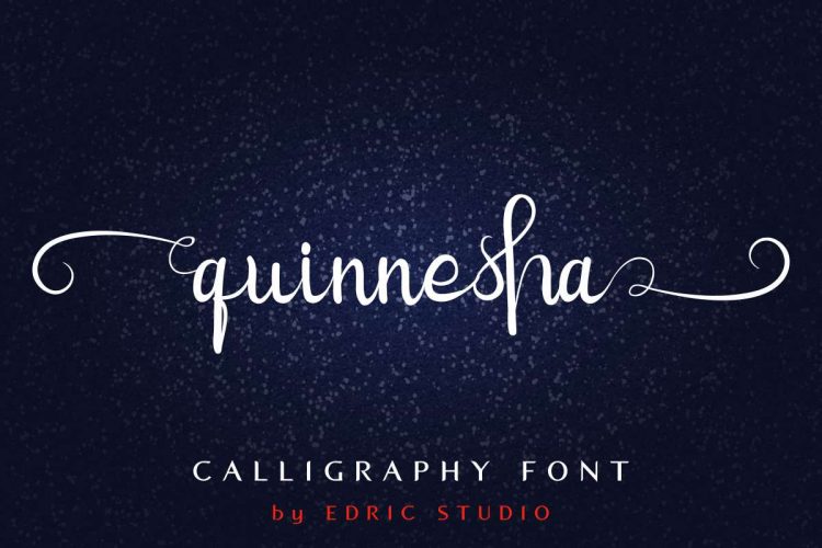 Quinnesha Script Font - Image 11