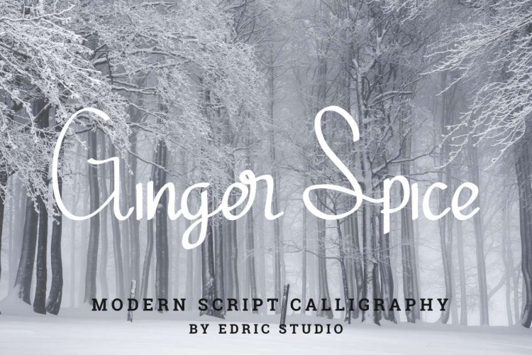 Ginger Spice Font - Image 11