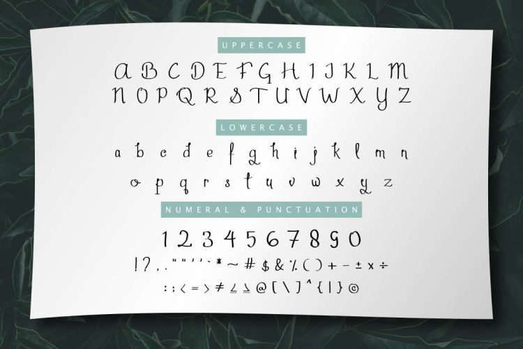 Aghmeeta Handwritten  Font - Image 2