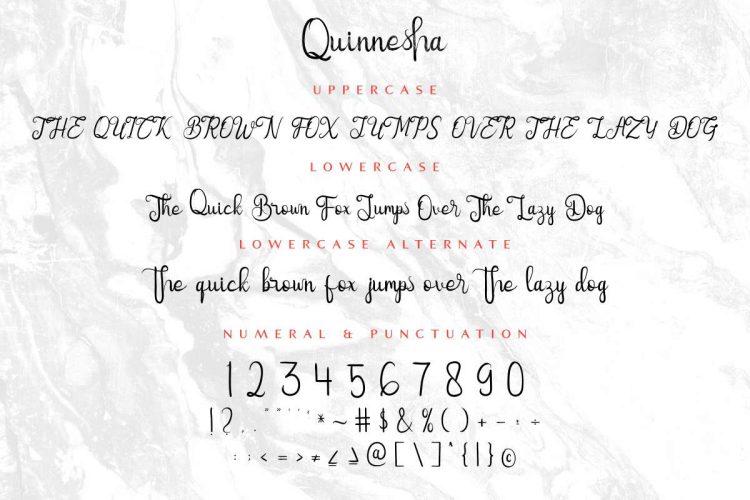 Quinnesha Script Font - Image 2