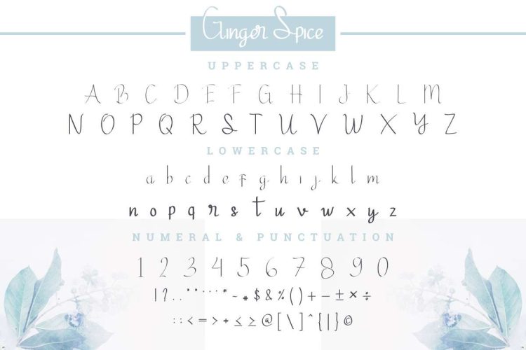 Ginger Spice Font - Image 2