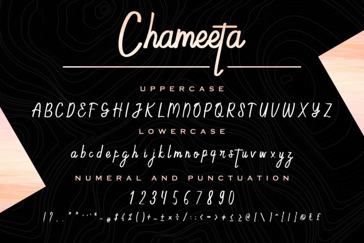 Chameeta Handwritting Font - Image 9