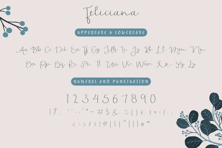 Feliciana Handwritten Font - Image 3