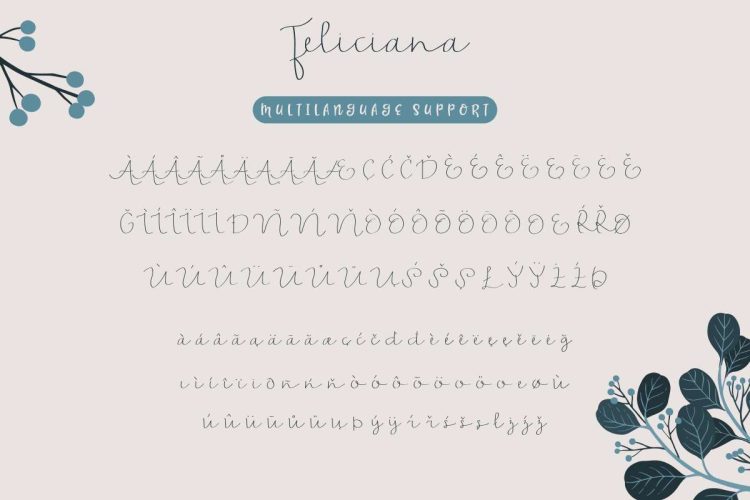 Feliciana Handwritten Font - Image 4