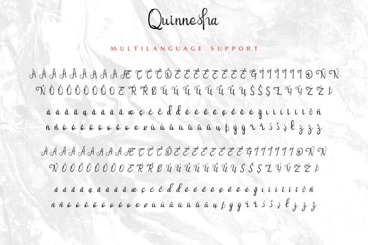 Quinnesha Script Font - Image 4