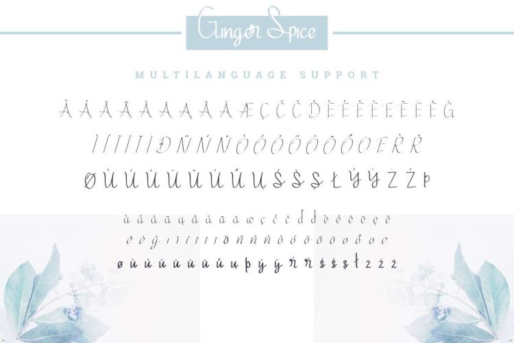 Ginger Spice Font - Image 3