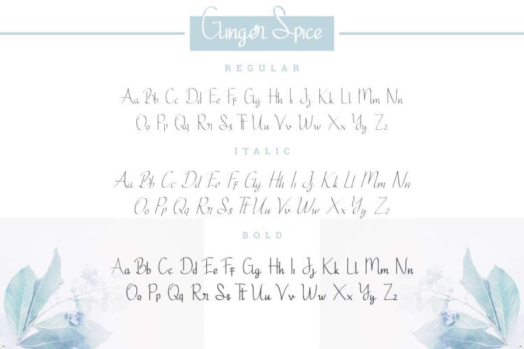 Ginger Spice Font - Image 4