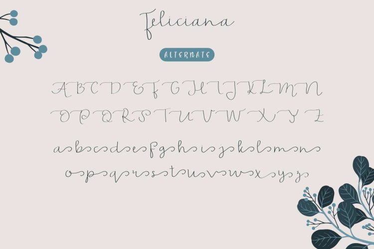 Feliciana Handwritten Font - Image 2