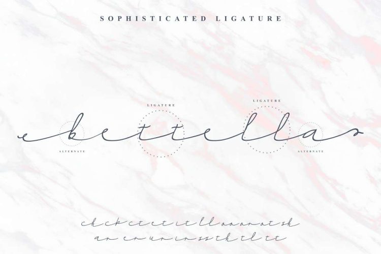 Thipany Signature Font - Image 6