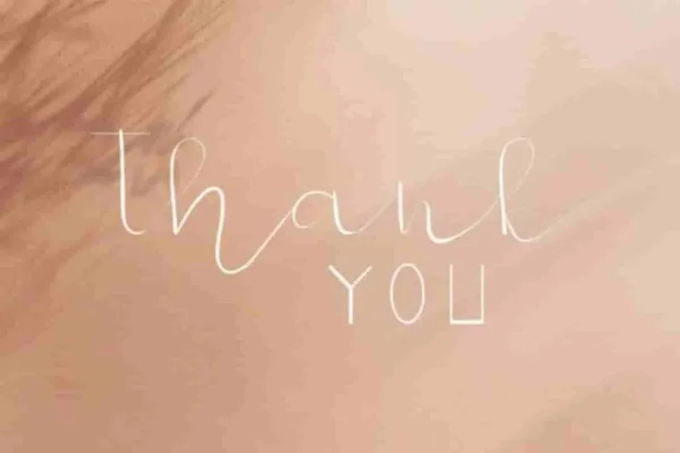 New GLADISH Fancy Display Font Duo