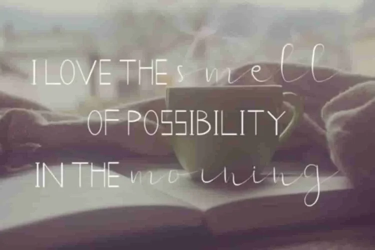 New GLADISH Fancy Display Font Duo