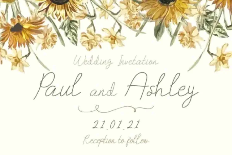 Qianno Monoline Handwritten Font