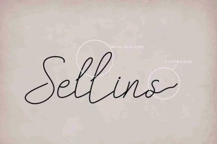 Qianno Monoline Handwritten Font