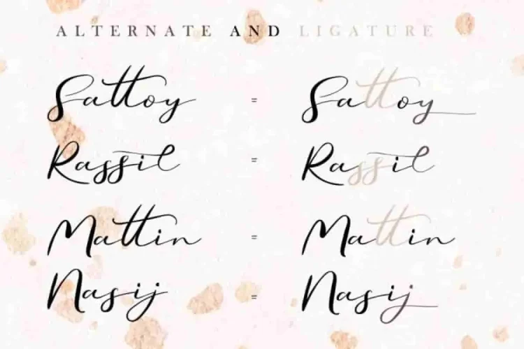 Secret Feeling Calligraphy Font