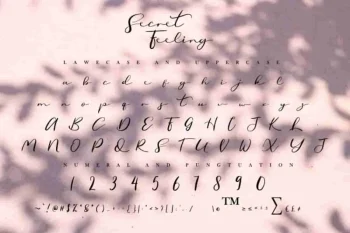 Secret Feeling Calligraphy Font
