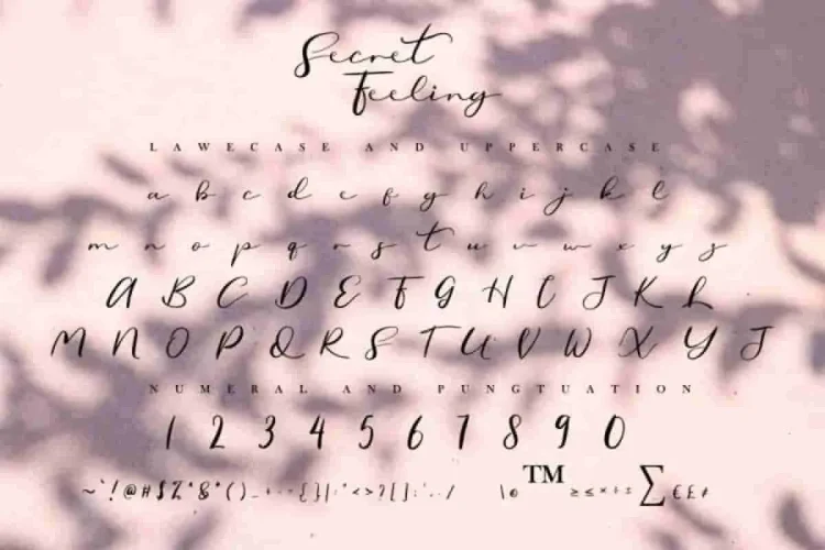 Secret Feeling Calligraphy Font