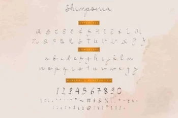 Shimponia Calligraphy Font