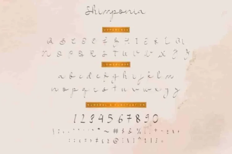 Shimponia Calligraphy Font