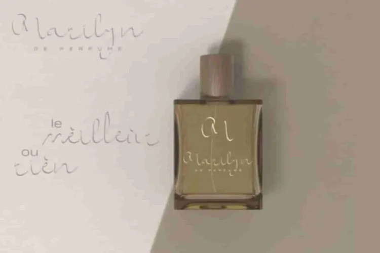 Shimponia Calligraphy Font