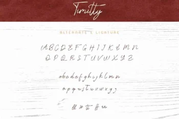 Timitty Sans & Script Font Duo