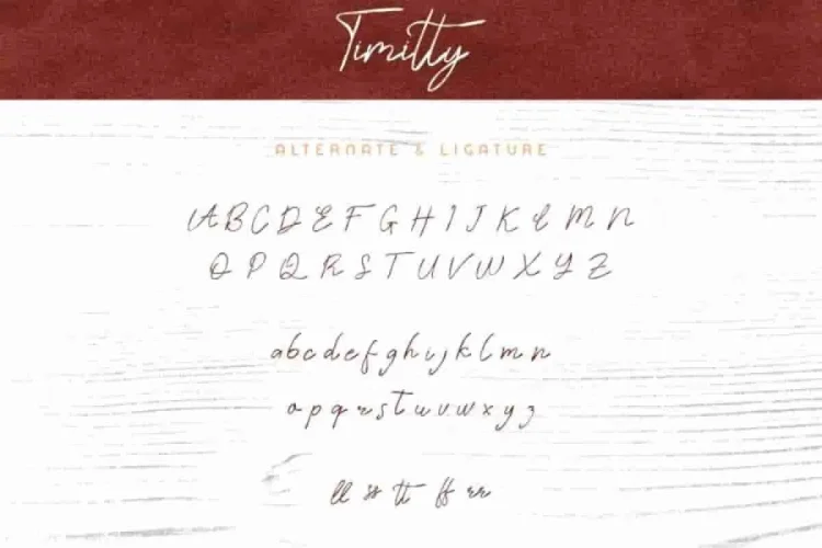 Timitty Sans & Script Font Duo