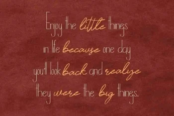 Timitty Sans & Script Font Duo