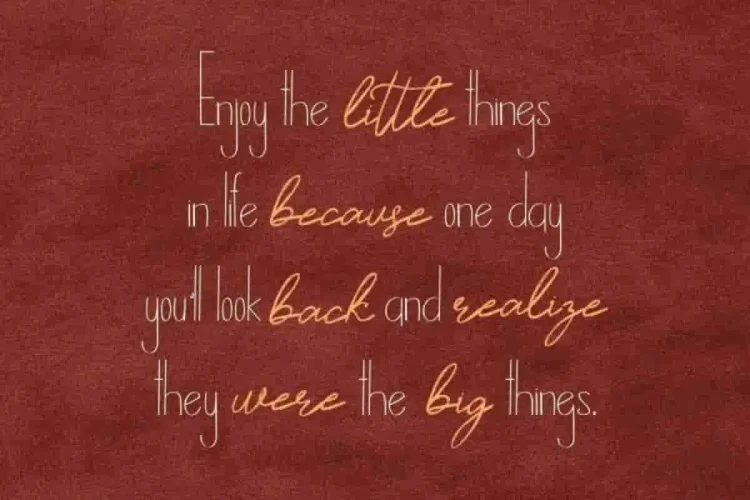 Timitty Sans & Script Font Duo