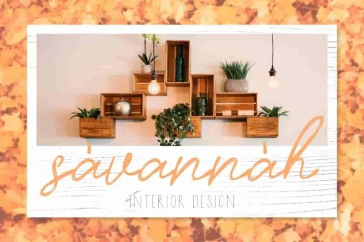 Timitty Sans & Script Font Duo