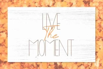 Timitty Sans & Script Font Duo